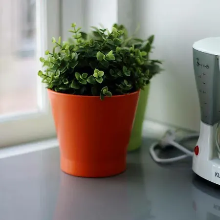 Like By Madrabica Apartmán *