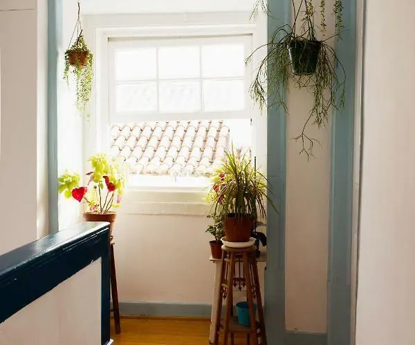 Like By Madrabica Apartment