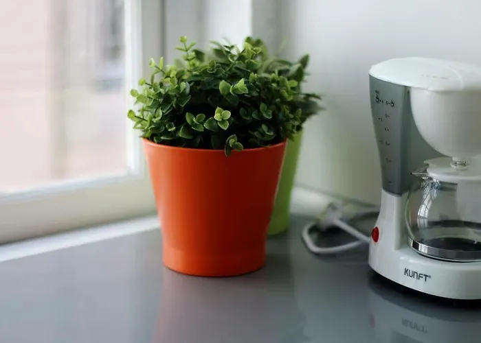 Like By Madrabica Apartment *